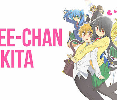 Onee-chan ga Kita: Season 1