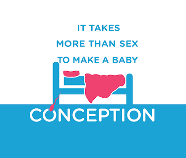 Conception (2012)