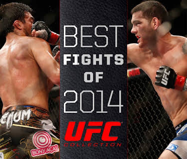 UFC Best Fights of 2014