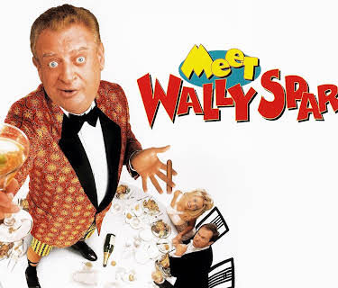 Meet Wally Sparks (1997)