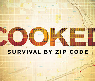Cooked: Survival by Zip Code (2019)
