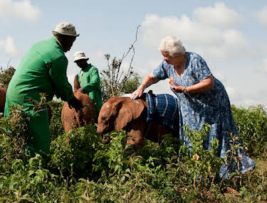 Daphne Sheldrick