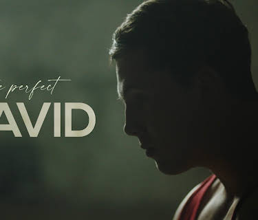The Perfect David (2021)
