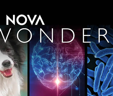 NOVA Wonders Season 1