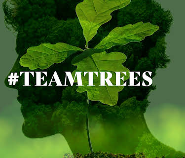 #TeamTrees Special
