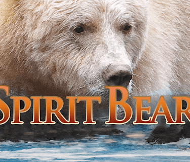 Spirit Bear (2005)