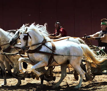 Rome's Chariot Superstar