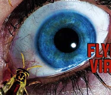 Flying Virus (2001)