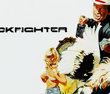 Cockfighter (1974)