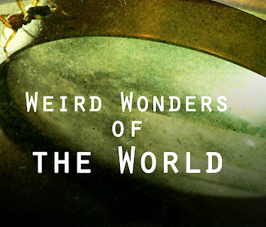 Weird Wonders of the World, Season 1