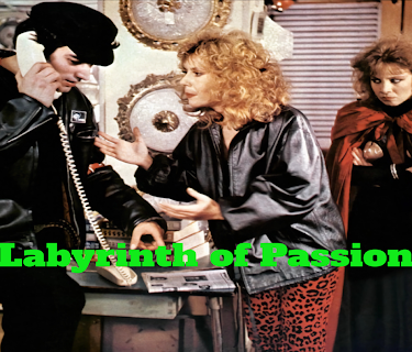 Labyrinth of Passion (1982)