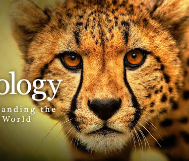 Zoology: Understanding the Animal World