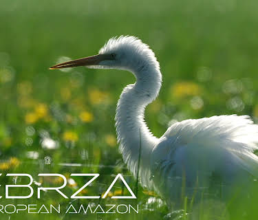 Biebrza - The European Amazon (2013)