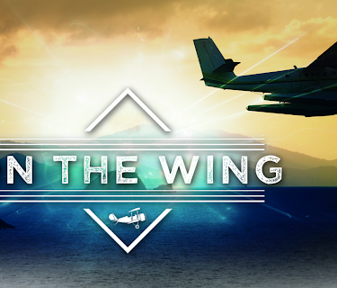 On The Wing
