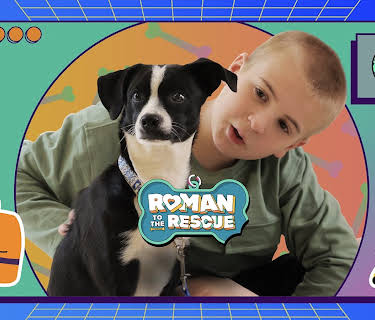 Roman to the Rescue Season 1