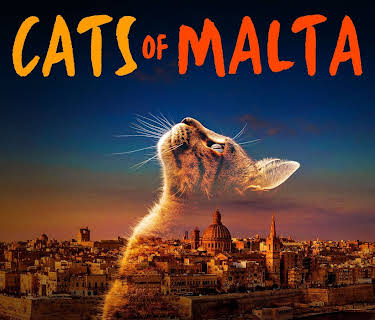 Cats of Malta (2023)