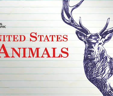 United States of Animals