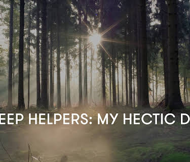 Sleep Helpers: My Hectic Day (2023)