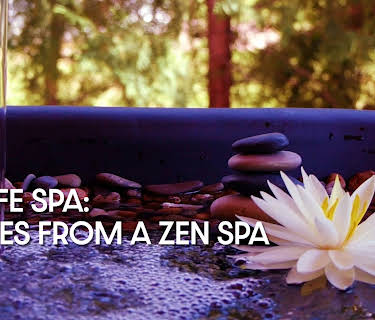 ZenLIFE Spa: Scenes from a Zen Spa (2024)