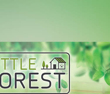 Little Forest
