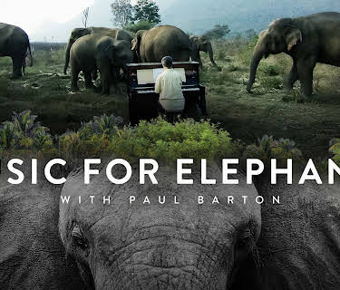 Music for Elephants (2014)