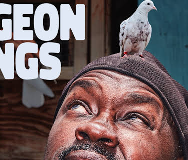 Pigeon Kings (2020)