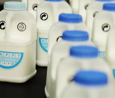 A Love Story in Milk (2025)