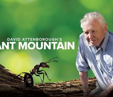 David Attenborough's Ant Mountain (2017)