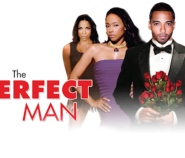 The Perfect Man (2011)