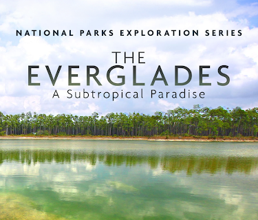National Parks Exploration Series: The Everglades - A Subtropical Paradise (2013)
