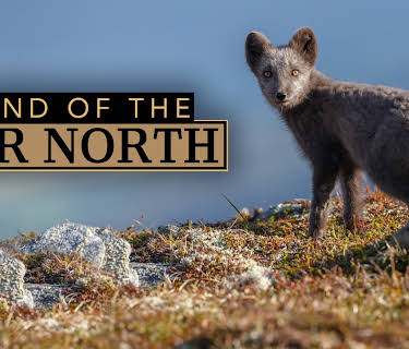 Land Of The Far North