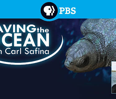 Saving the Ocean with Carl Safina