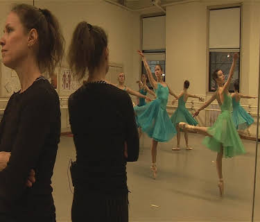 The Choreographer (2011)