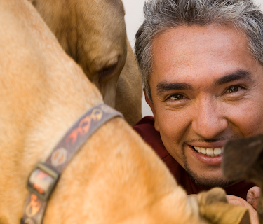 Dog Whisperer with Cesar Millan