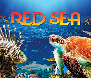 Red Sea (2016)