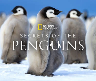 Secrets of the Penguins