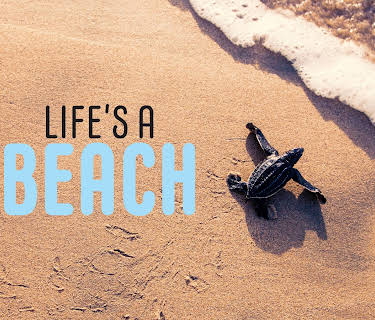 Life’s a Beach (2020)