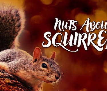 Nuts About Squirrels (2021)