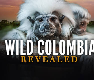 Wild Colombia Revealed (2015)