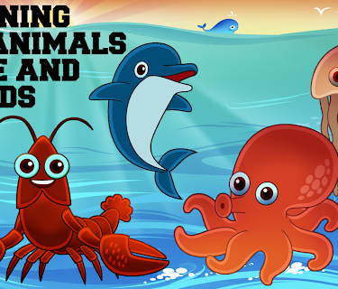 Learning Sea Animals Names And Sounds