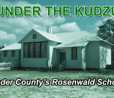 Under The Kudzu (2015)