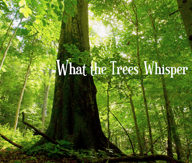 What the Trees Whisper About (2023)