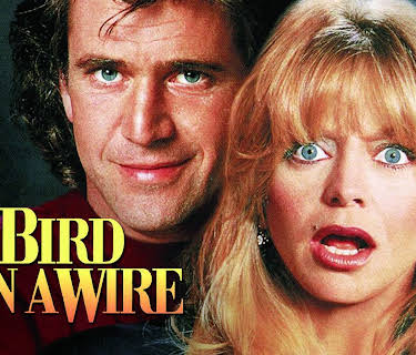 Bird on a Wire (1990)