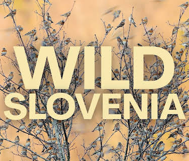 Wild Slovenia (2021)