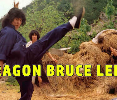 Dragon Bruce Lee 2 (2016)