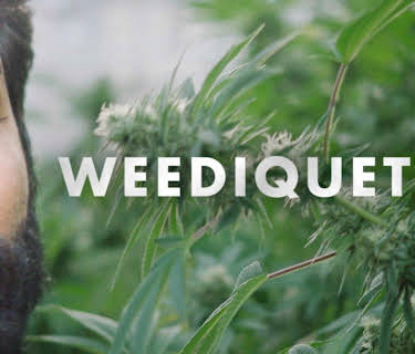 WEEDIQUETTE Season 1