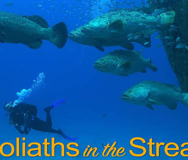 Goliaths in the Stream (2020)