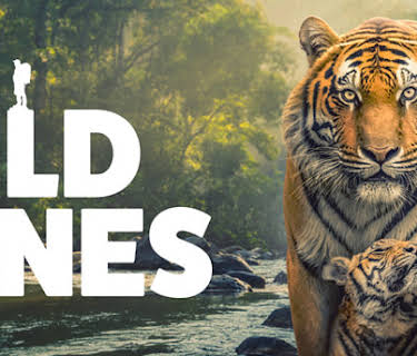 The Wild Ones