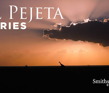 Ol Pejeta Diaries