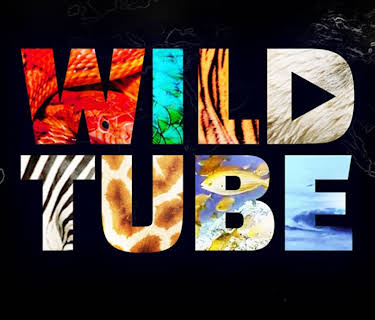 Wild Tube